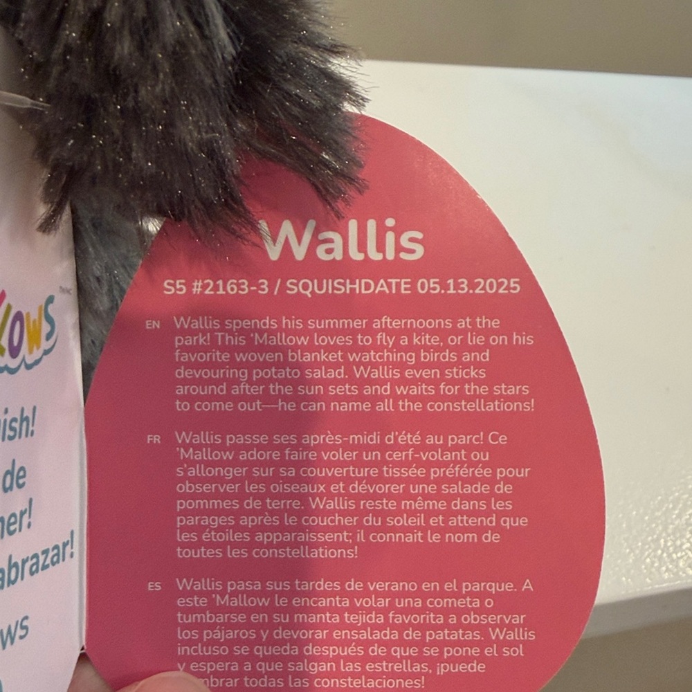 RESERVED NWT 5” Wallis & Woxie the Bigfoot Squishmallow Valentine Set - Picture 5 of 7